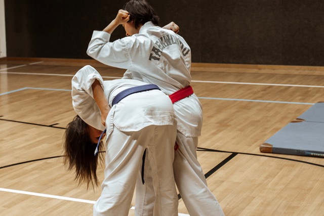 Taekwondo (133)