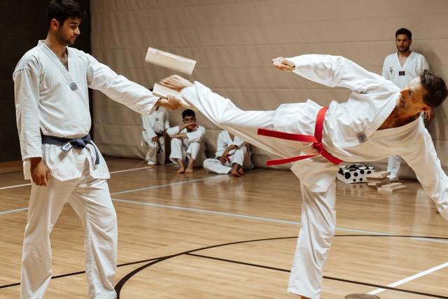 Taekwondo (196)